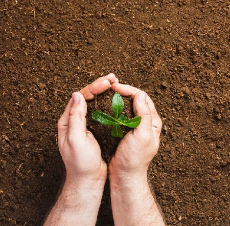  Adubos e Compostagem Doméstica: Guia Completo para Nutrir seu Jardim com Sustentabilidade