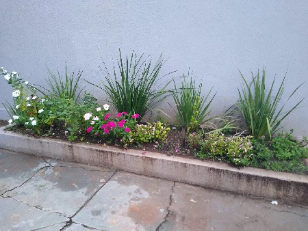 Guia Completo para Construir um Canteiro de Jardim Doméstico