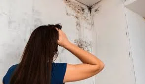Prevenção de Infiltrações: O que Ver Antes da Chuva