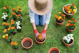 Guia Essencial para Iniciantes: Seus Primeiros Passos no Mundo da Jardinagem