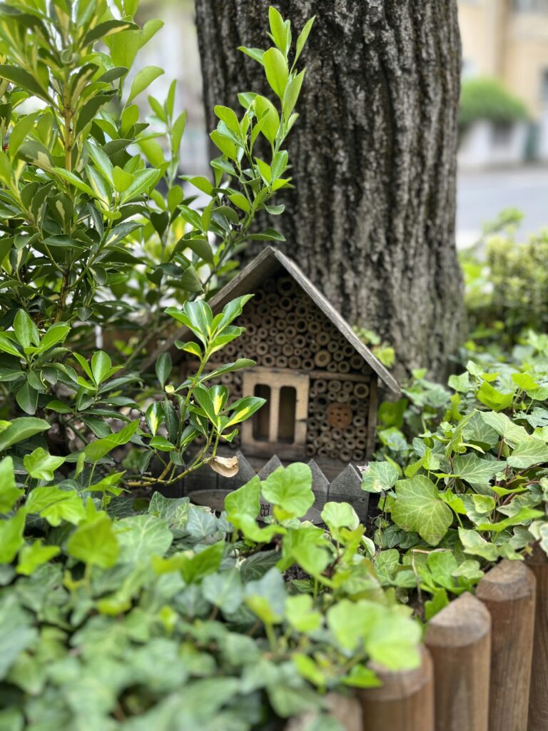 Combate Natural às Pragas: Mantenha Seu Jardim Saudável Sem Química Pesada
