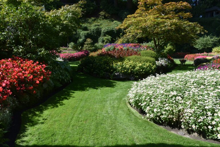 Plantas que Criam Harmonia Visual no Jardim