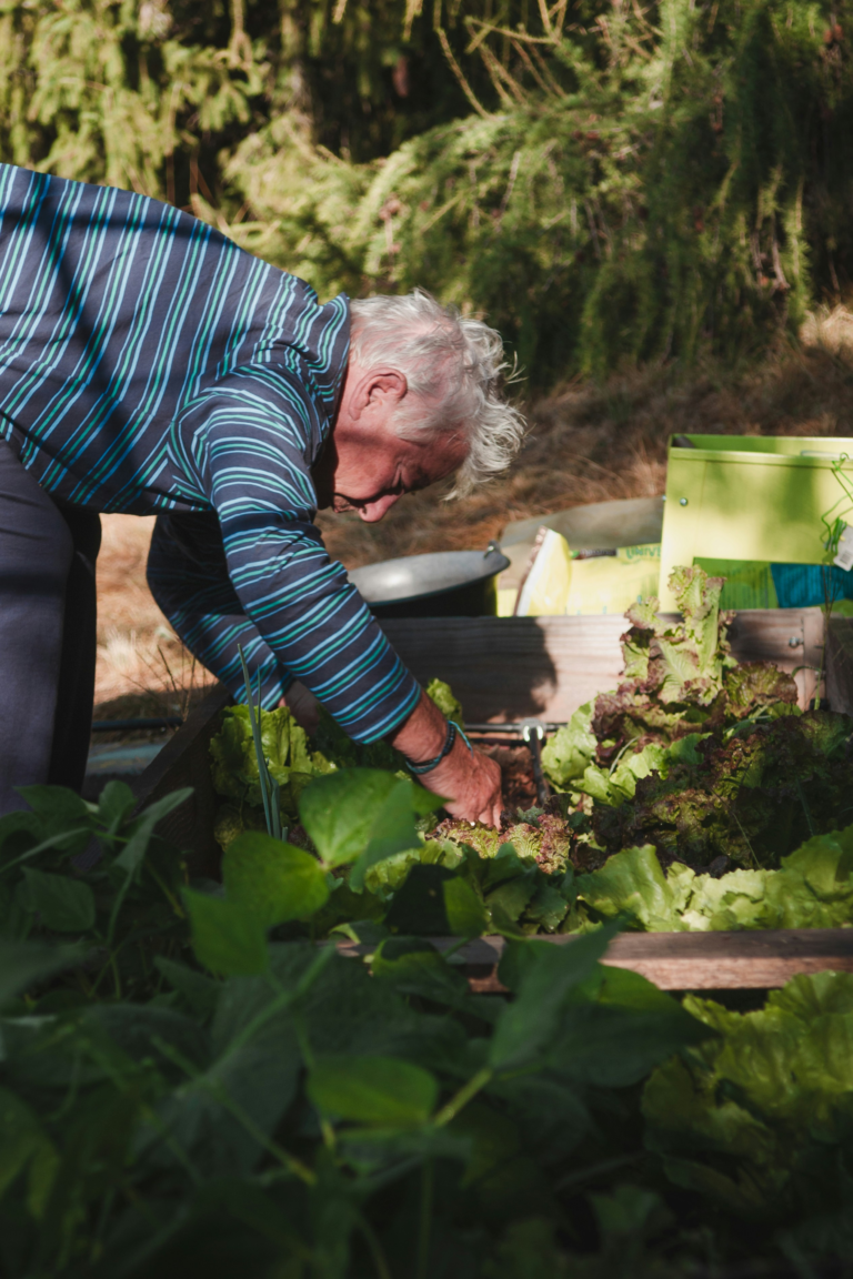 Jardinagem como Hobby: Descubra os Benefícios de Cuidar da Natureza