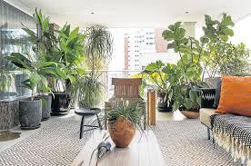 Plantas de Interiores: Como Levar o Verde para Dentro de Casa