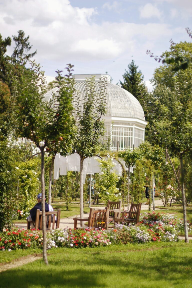 Como o Jardim Pode Influenciar Seu Humor e Bem-Estar